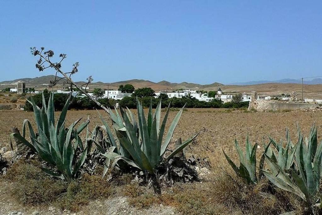 Cortijo Los Garridos - 8 Huespedes Fernan Perez Exteriör bild