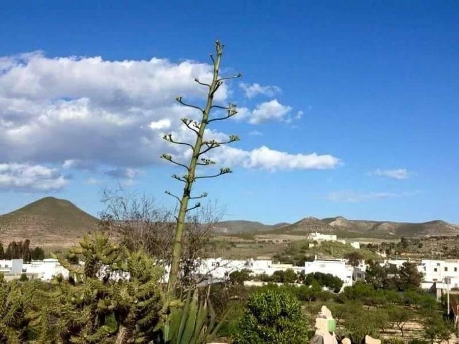 Cortijo Los Garridos - 8 Huespedes Fernan Perez Exteriör bild